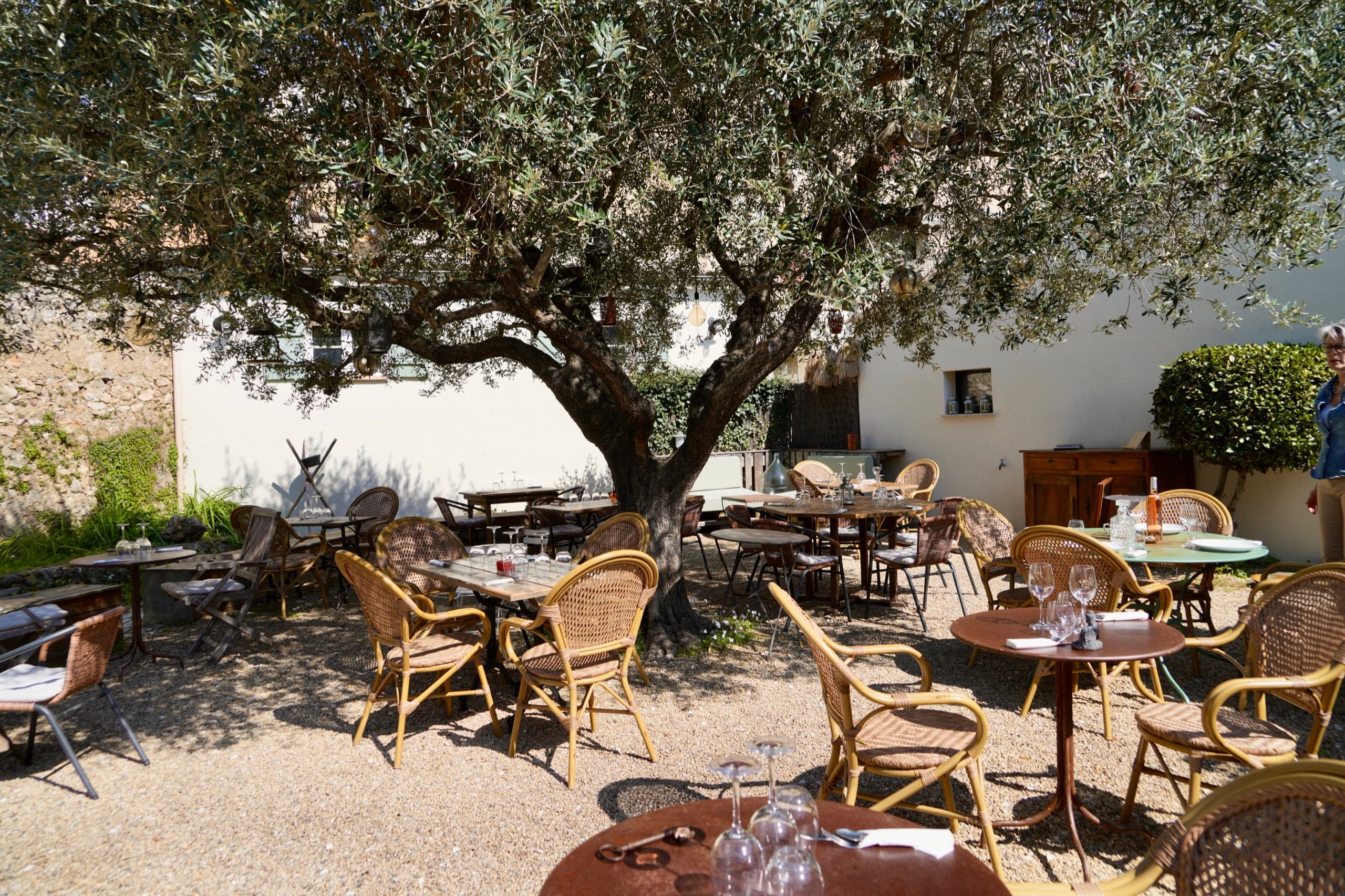 La terrasse des Carnets de Voyage sous le grand olivier, tables dressées
